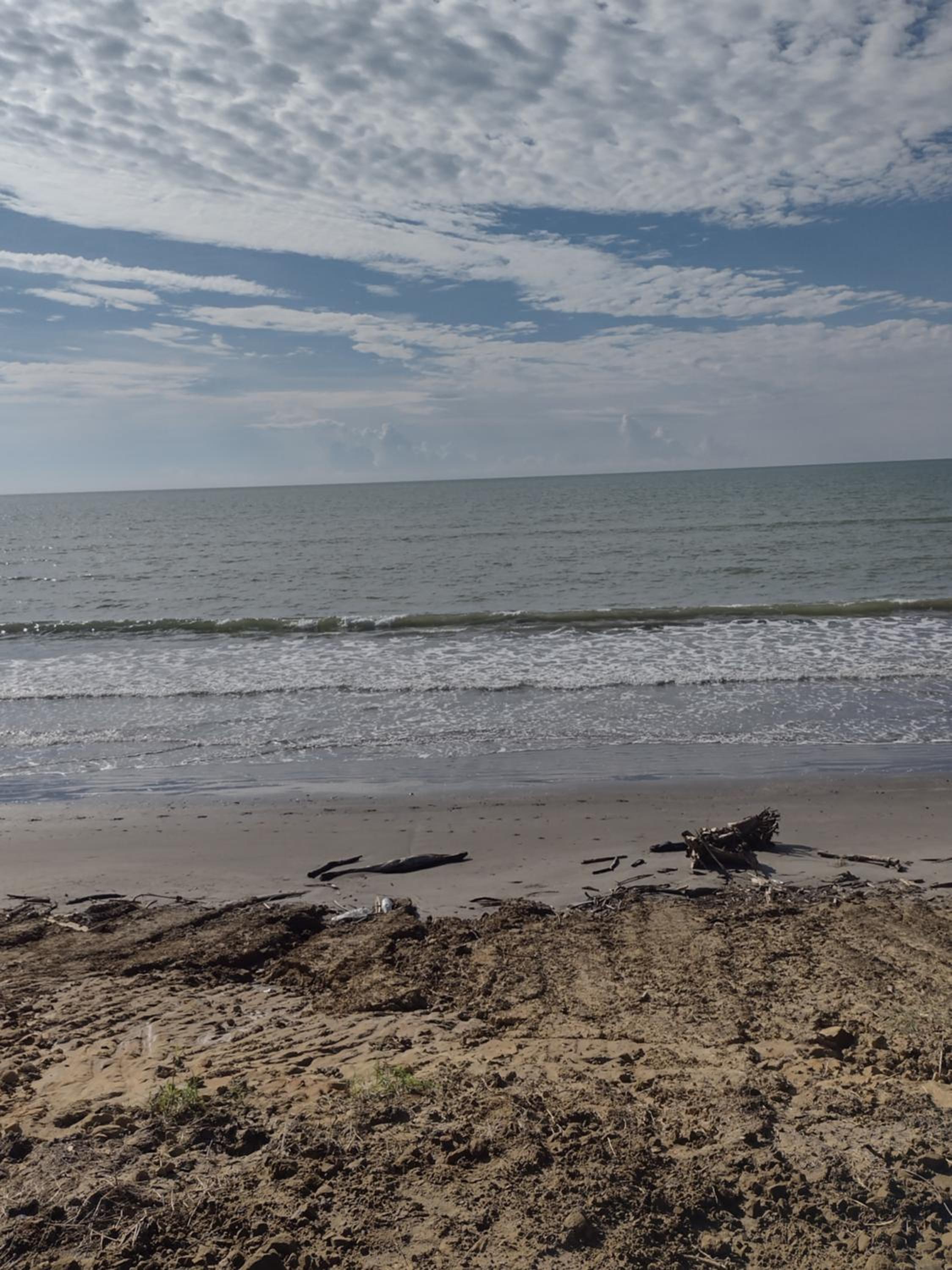 La playita