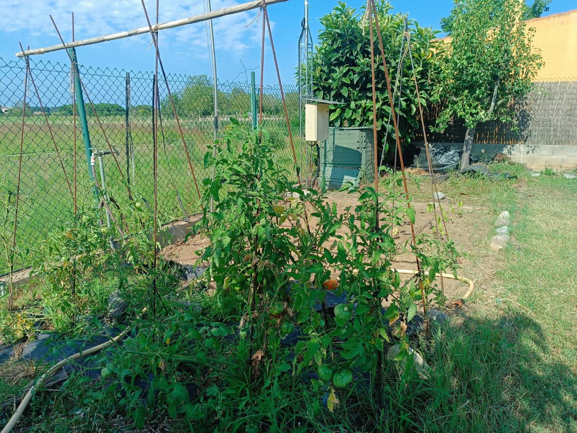 Photo 20