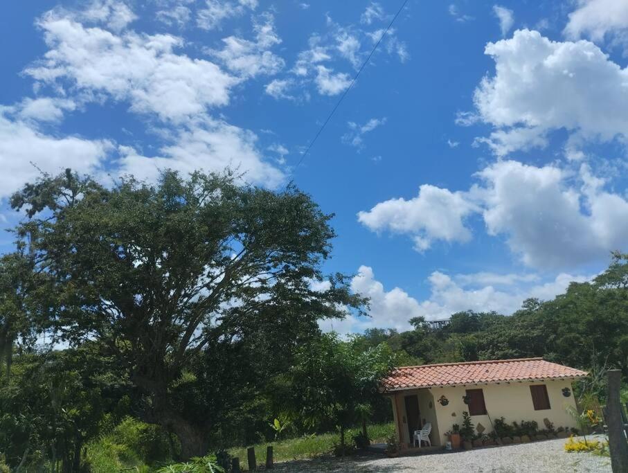 Cabaña Villa Andrea