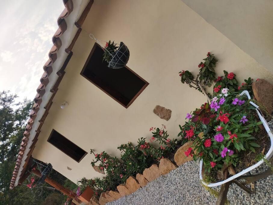 Cabaña Villa Andrea