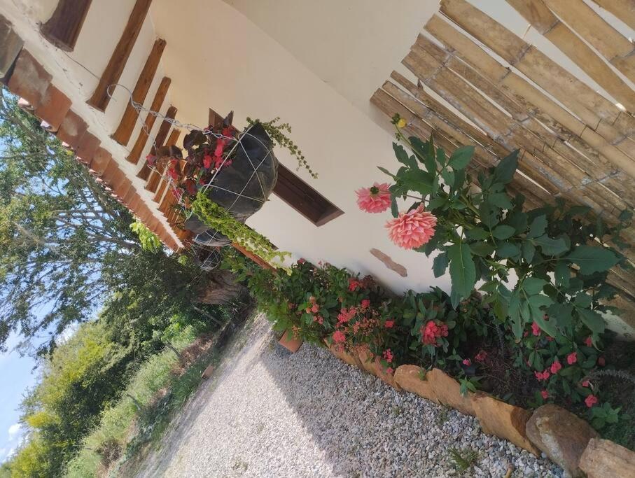 Cabaña Villa Andrea