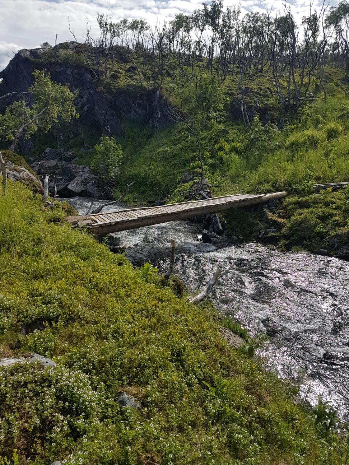 Sentrum overnatting-Kjøllefjord