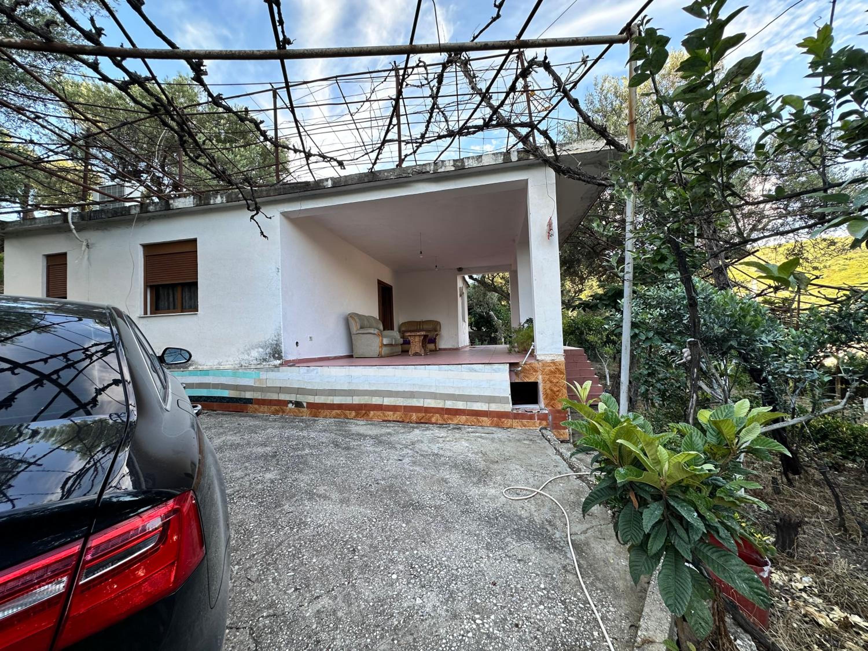 Home & Garden