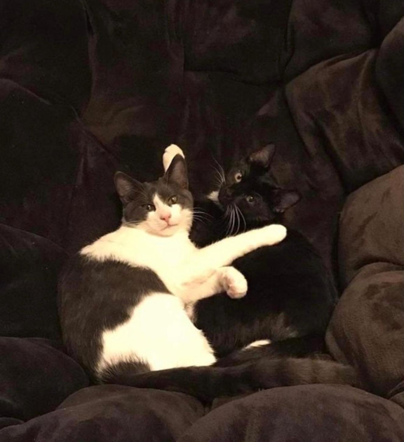 Baksas Luxury Campers