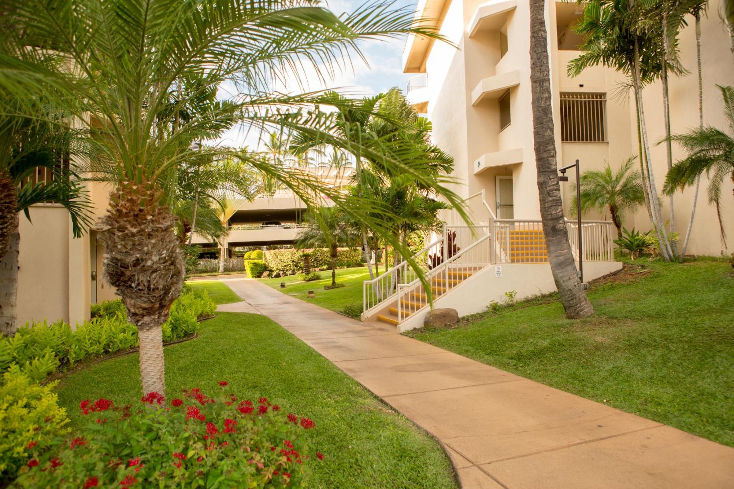 Hotel Maui Banyan- Your home away from home on Maui! - Image 1