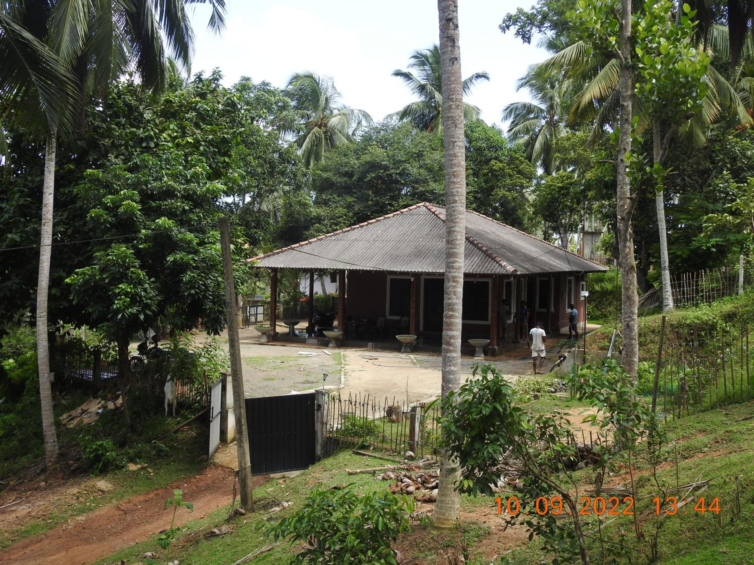 Photo 13