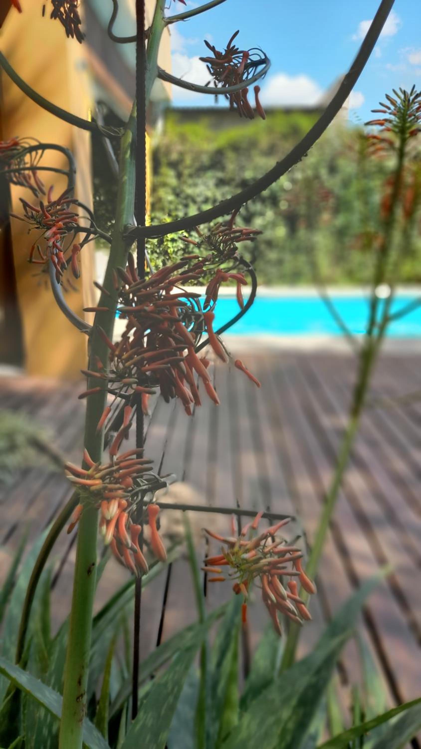 En Calma Hospedaje Casa quinta con piscina