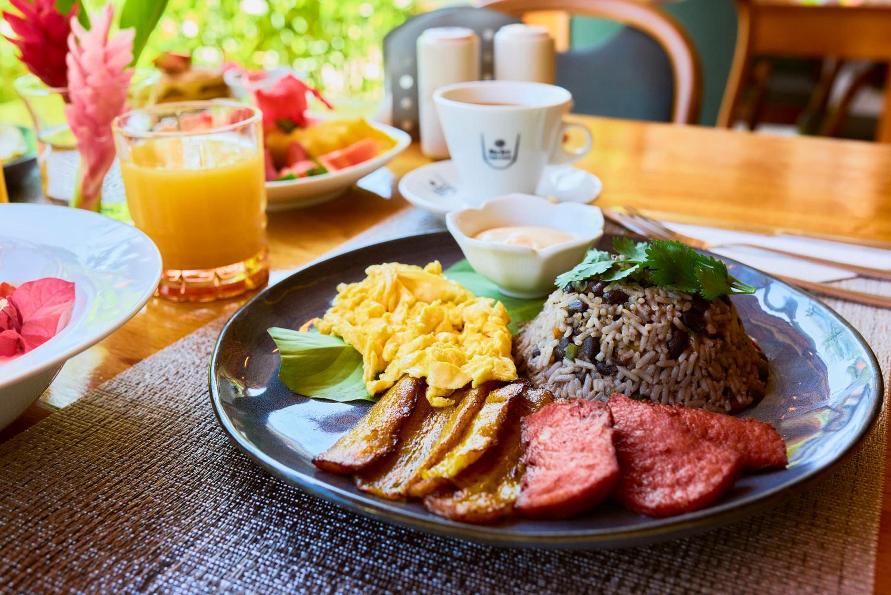 Costa Rica Caribbean Coast Vacations - Olinca Boutique Hotel - Property Image 28
