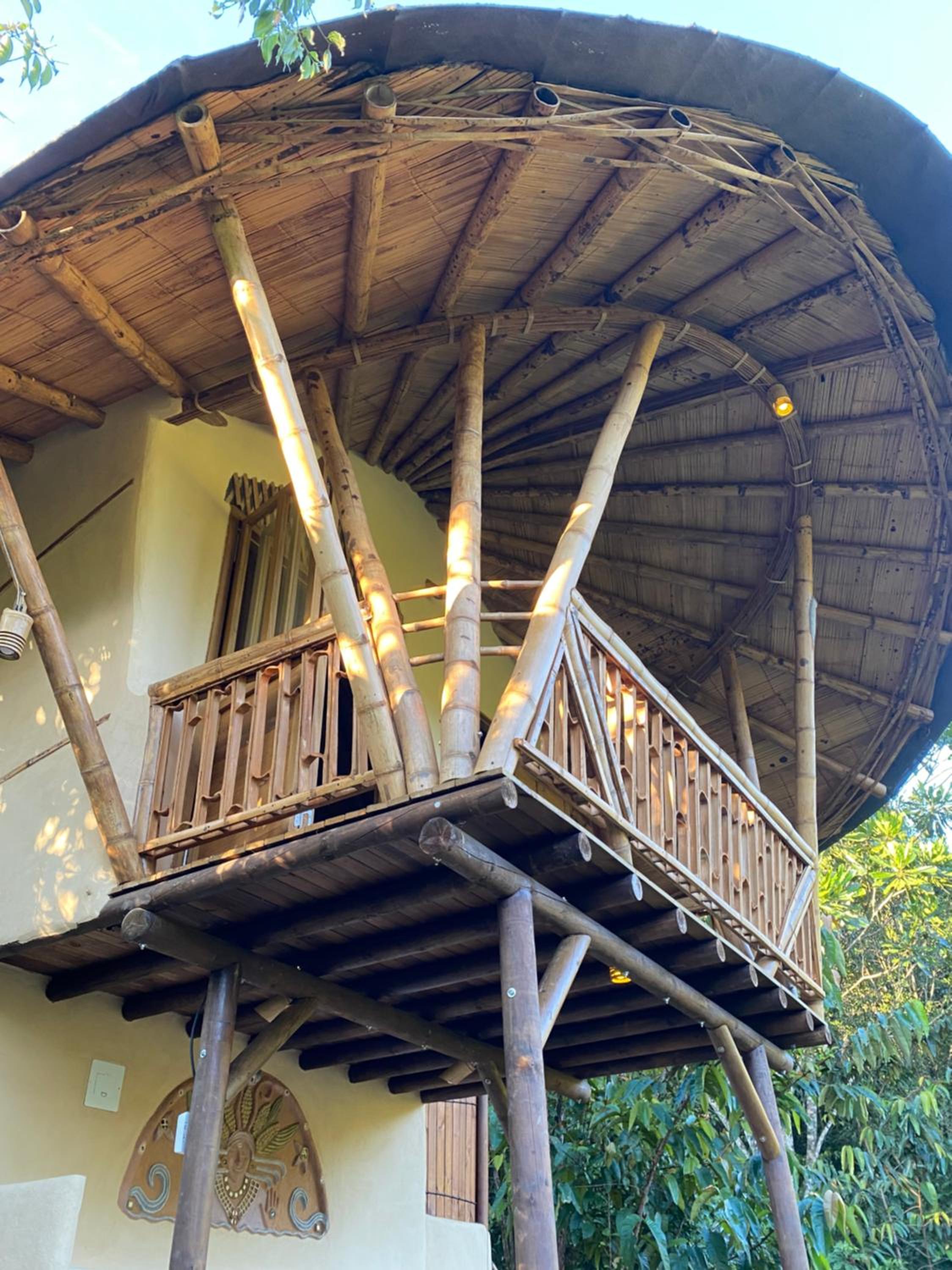Macuá, Refugio del bosque