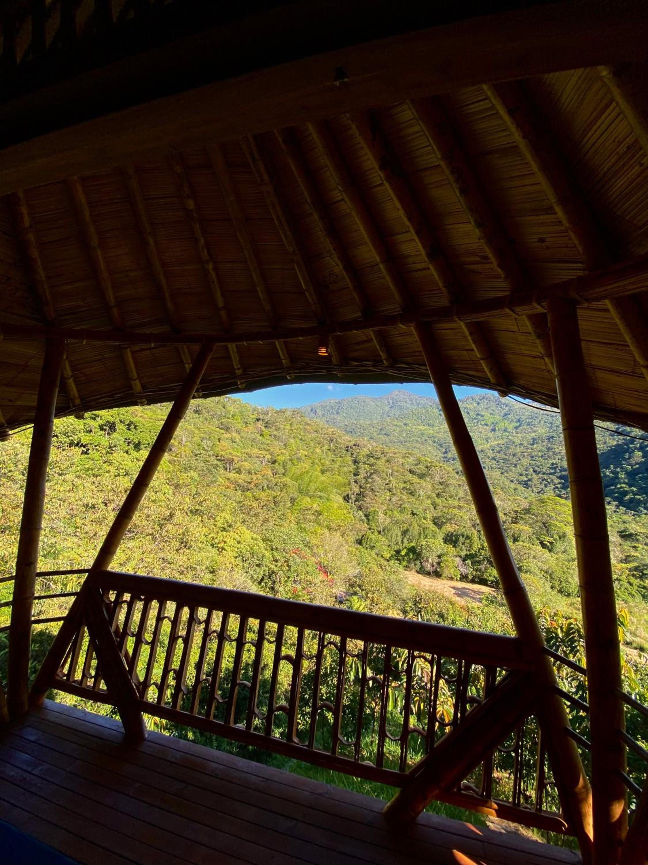 Macuá, Refugio del bosque