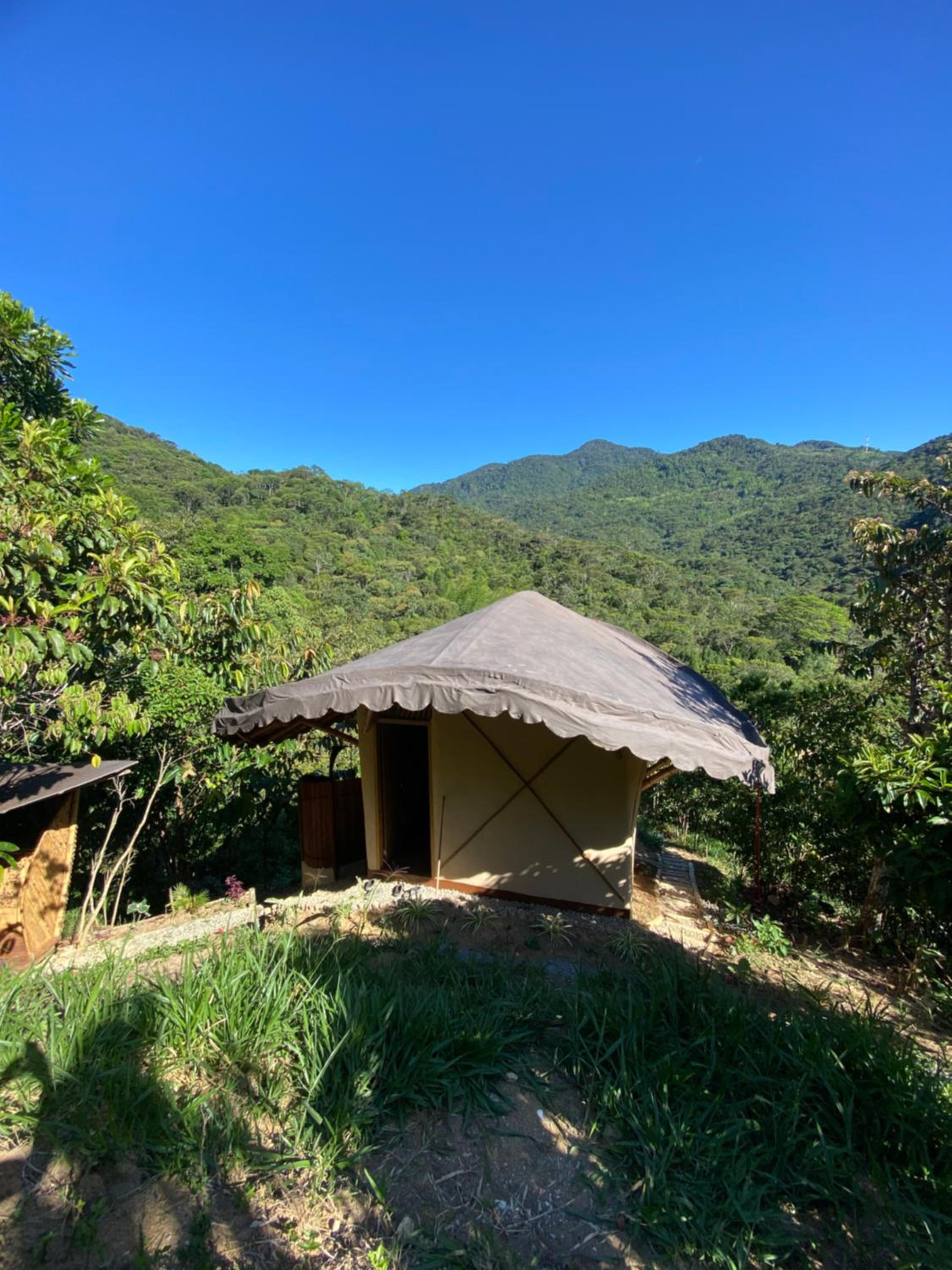 Macuá, Refugio del bosque