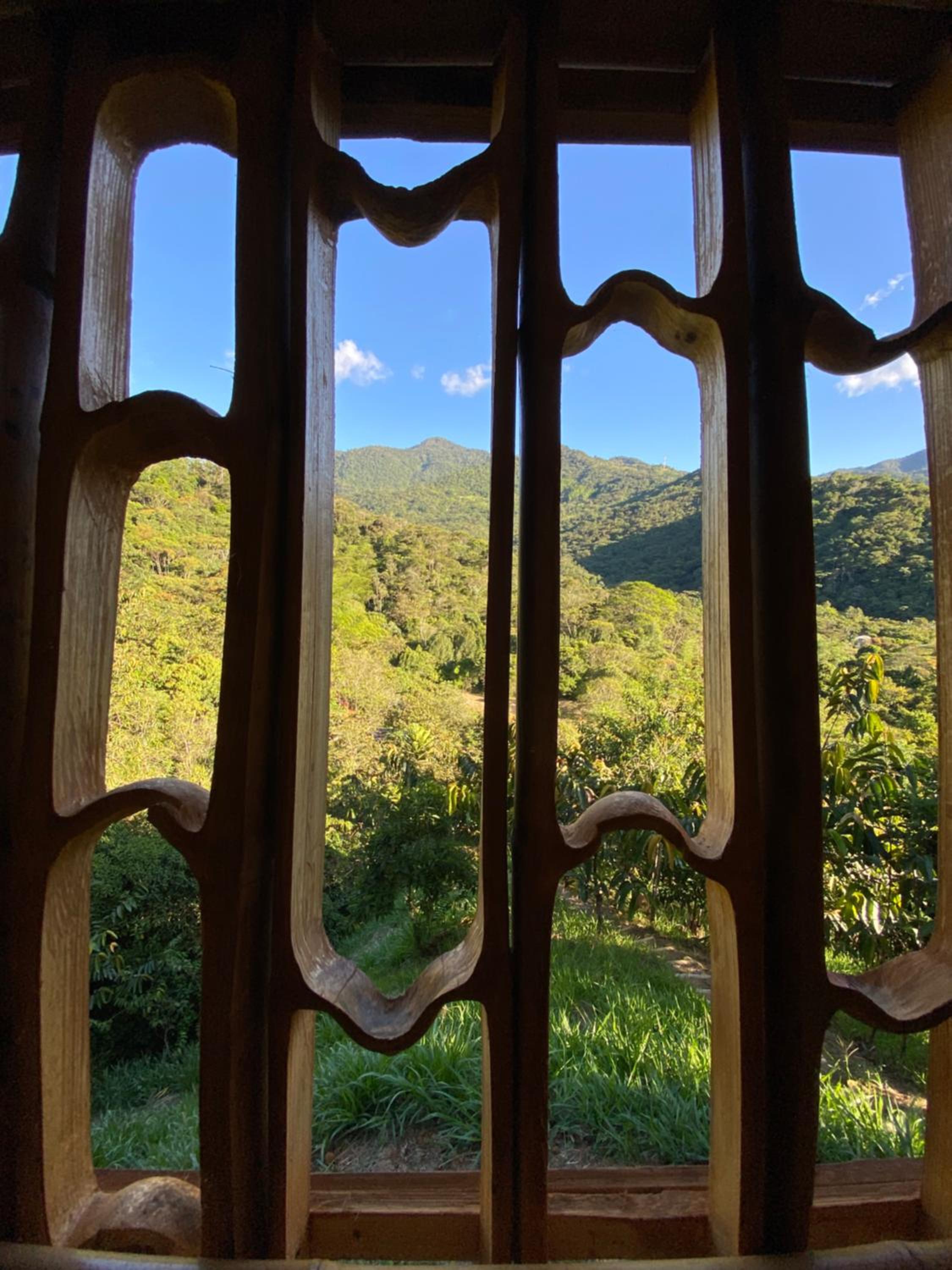 Macuá, Refugio del bosque