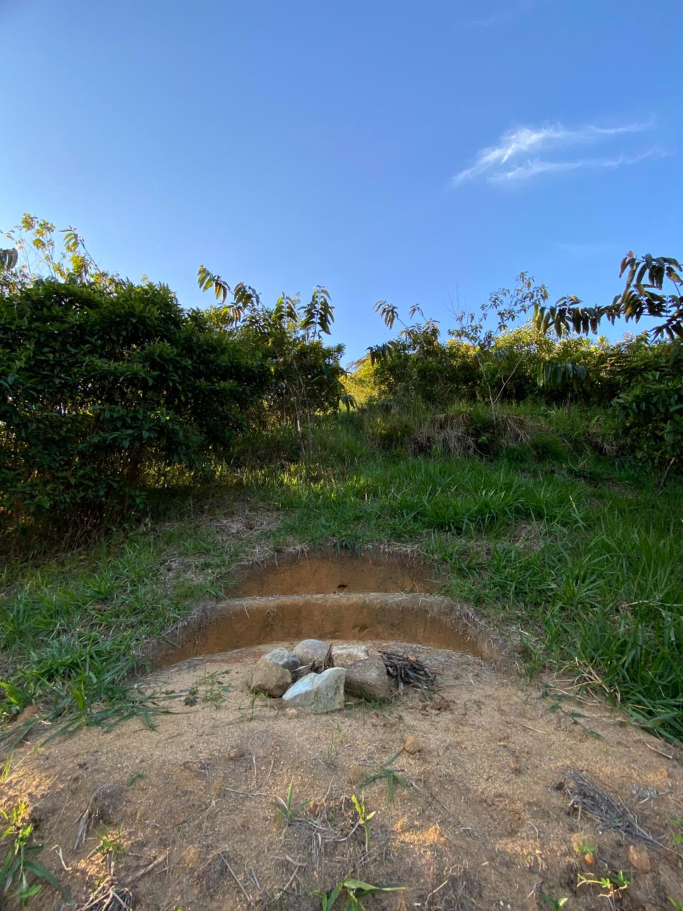 Macuá, Refugio del bosque