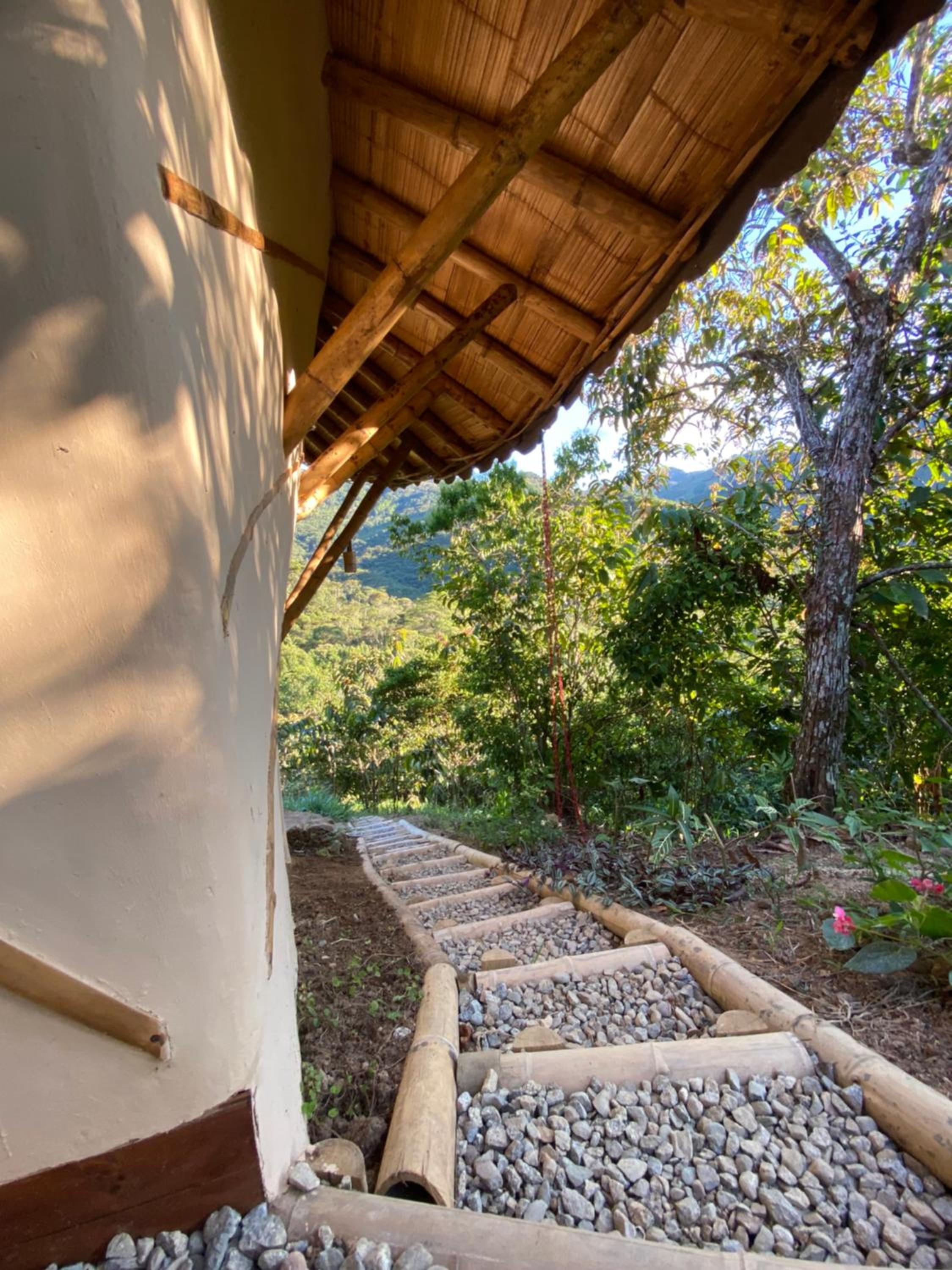 Macuá, Refugio del bosque