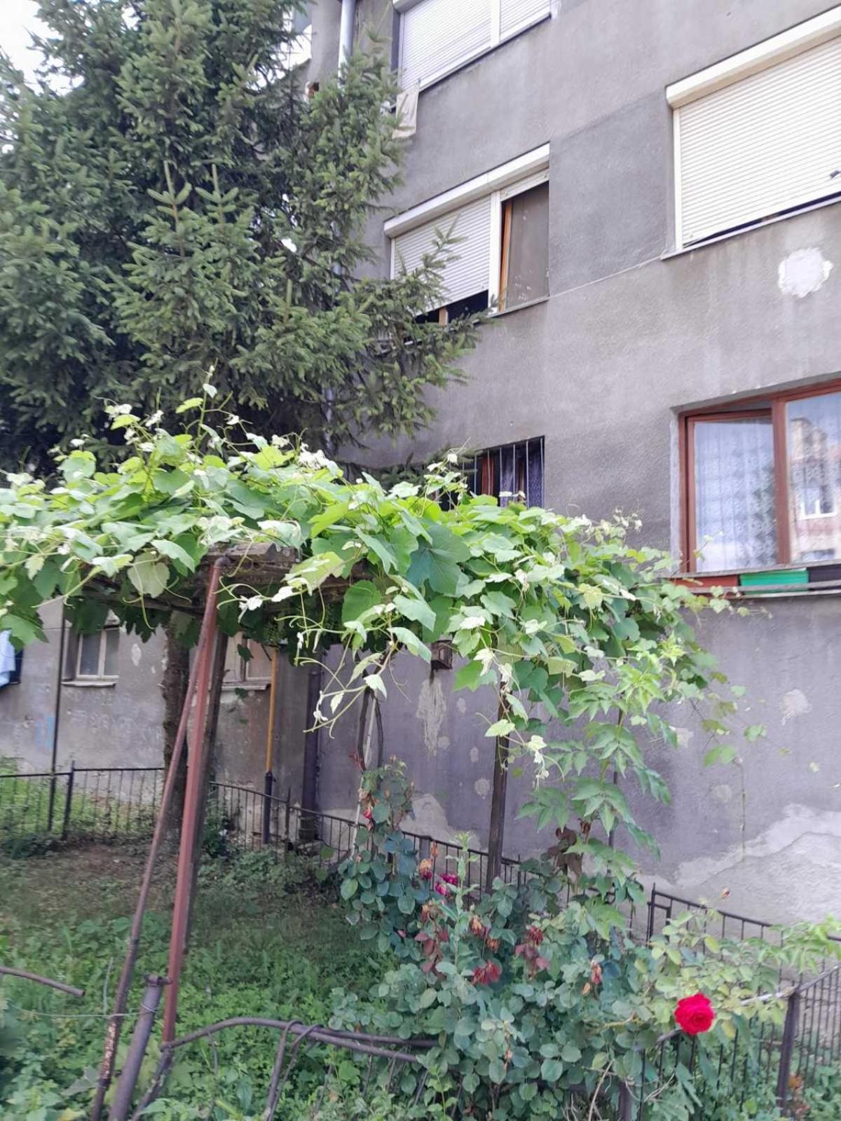 Comfy Apartment Free Parking