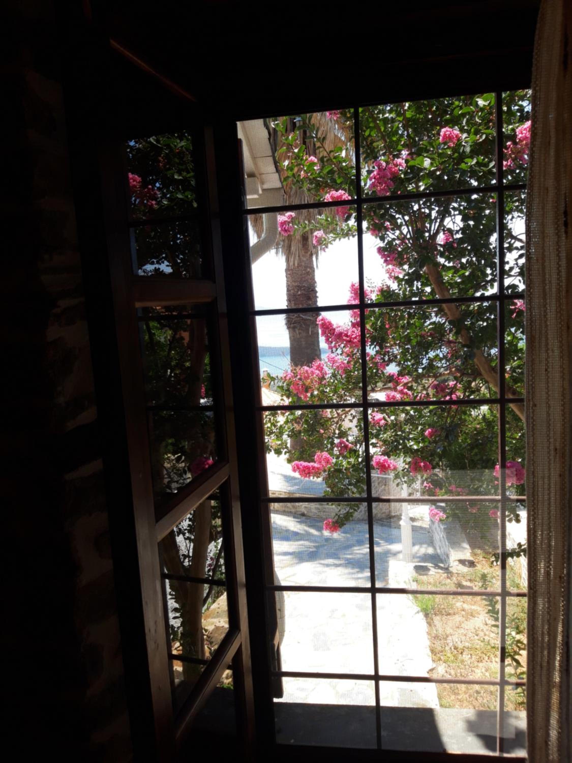 Studios Aspasia