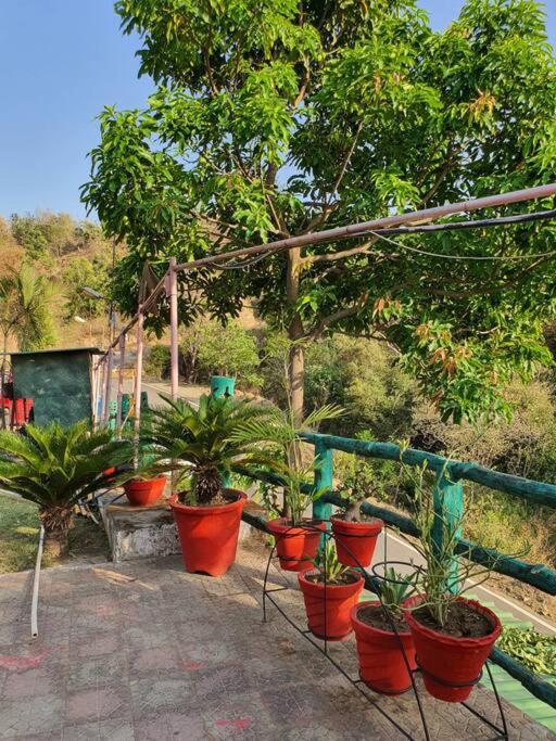 Cottage Resort amidst Shivaliks