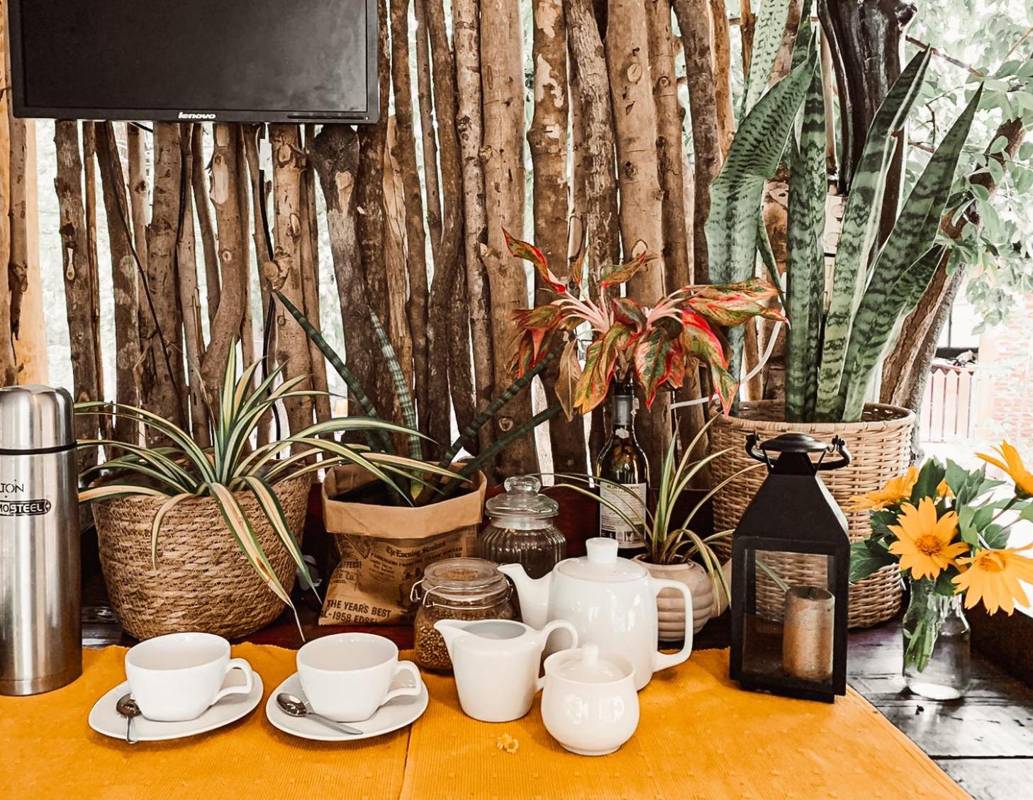 Camp Leopard - Yala Safari Glamping