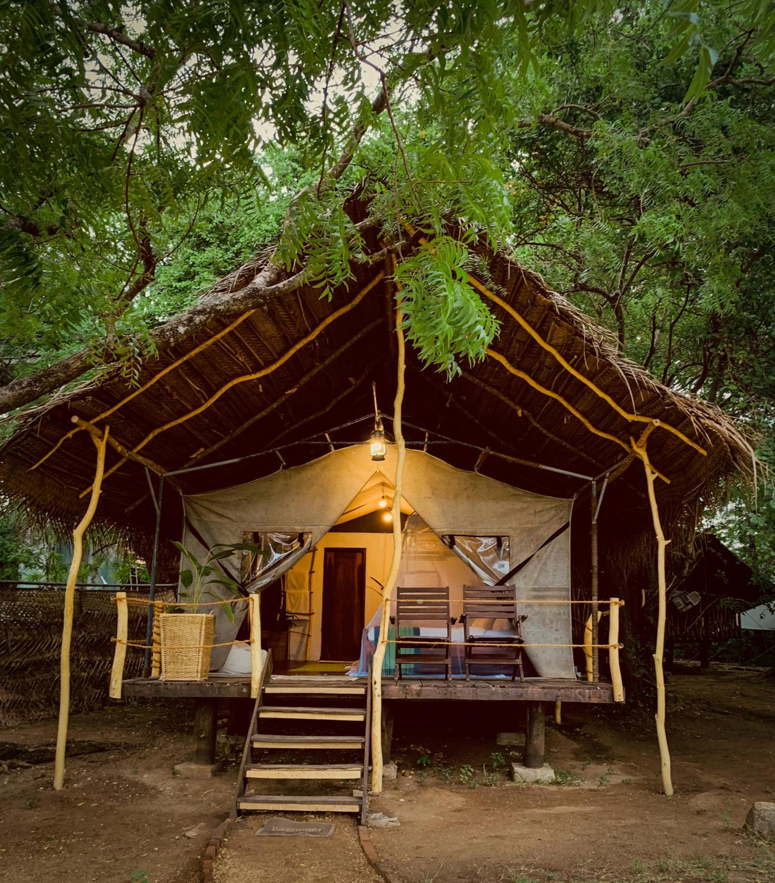 Camp Leopard - Yala Safari Glamping