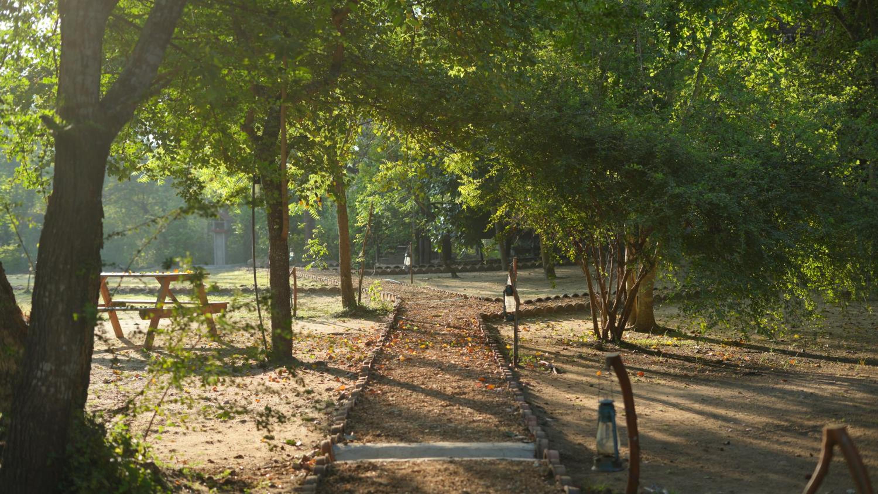 Camp Leopard - Yala Safari Glamping