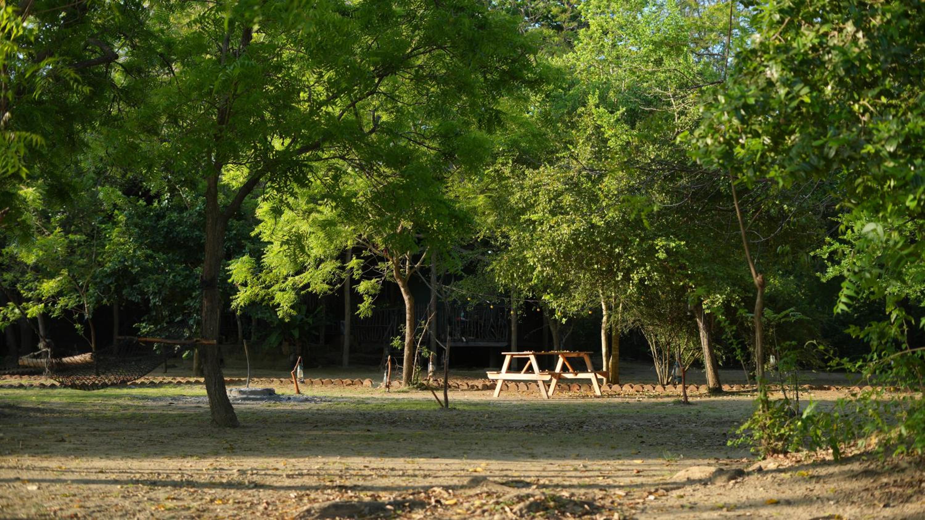 Camp Leopard - Yala Safari Glamping