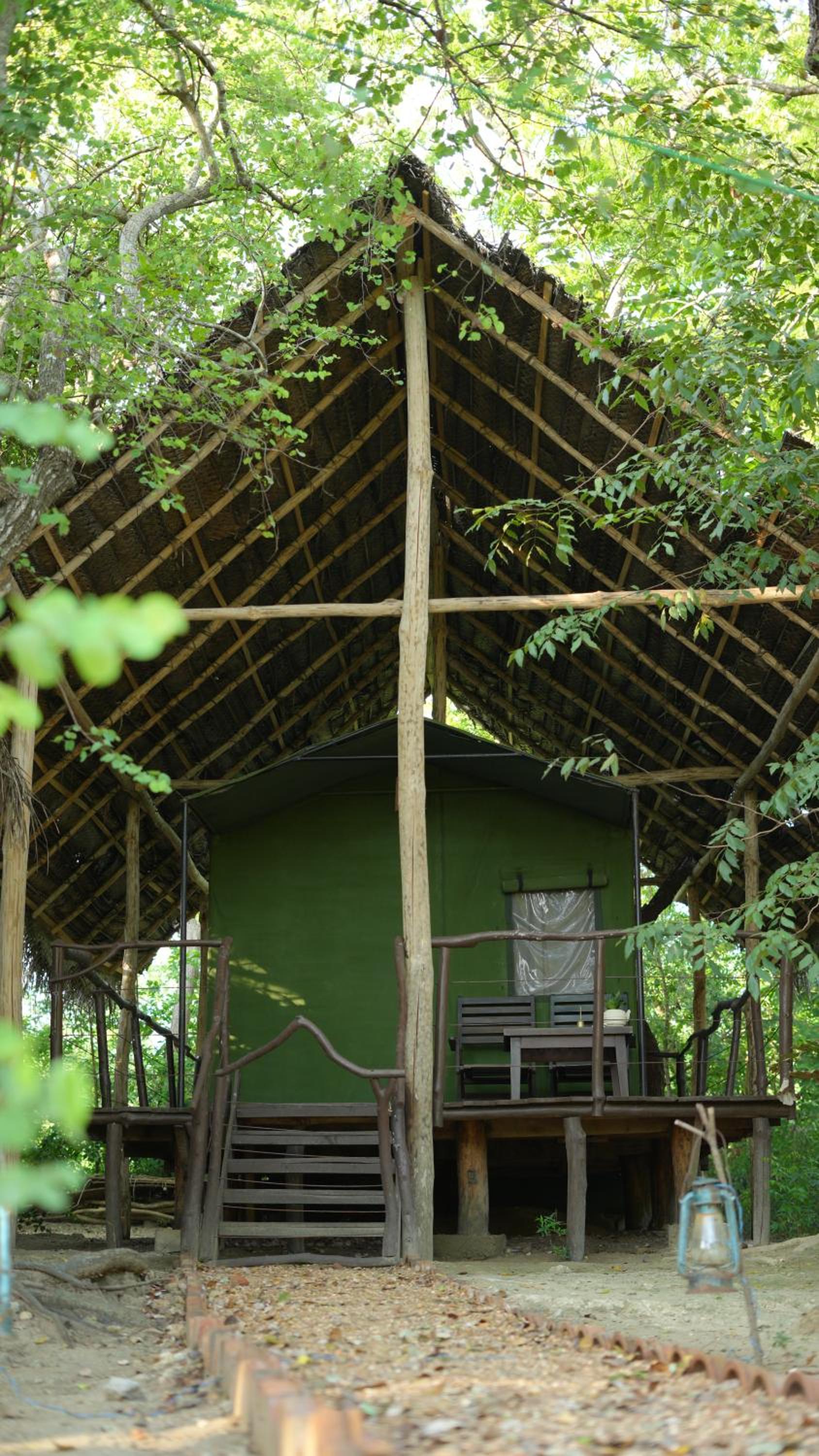 Camp Leopard - Yala Safari Glamping