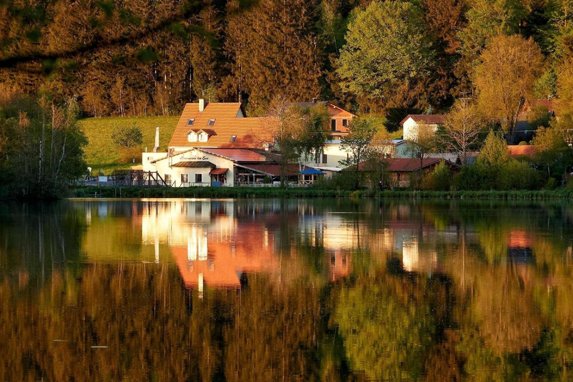Ferienhaus in Waldkirchen mit Garten und Seeblick - Property Image 9