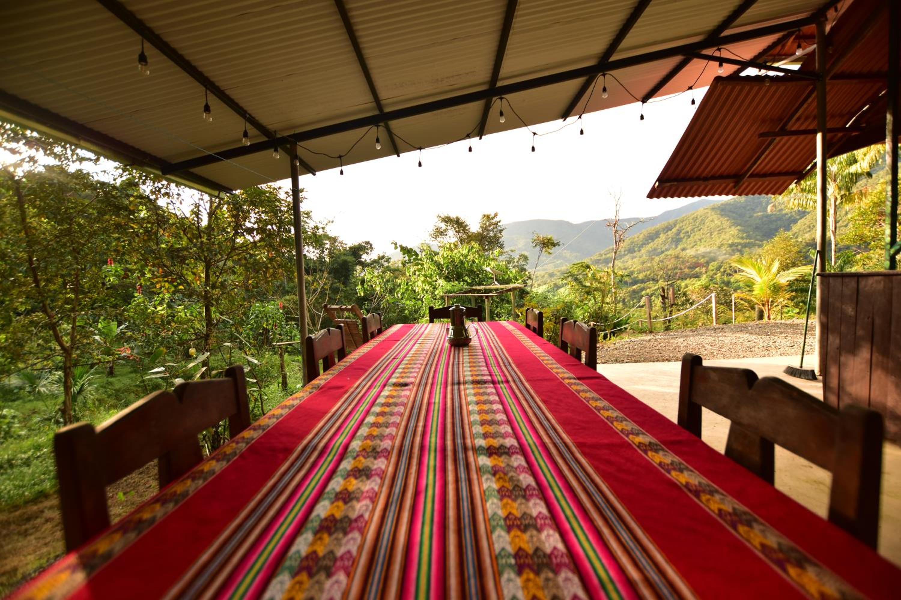 Manu Endemic Reserve Lodge view 3
