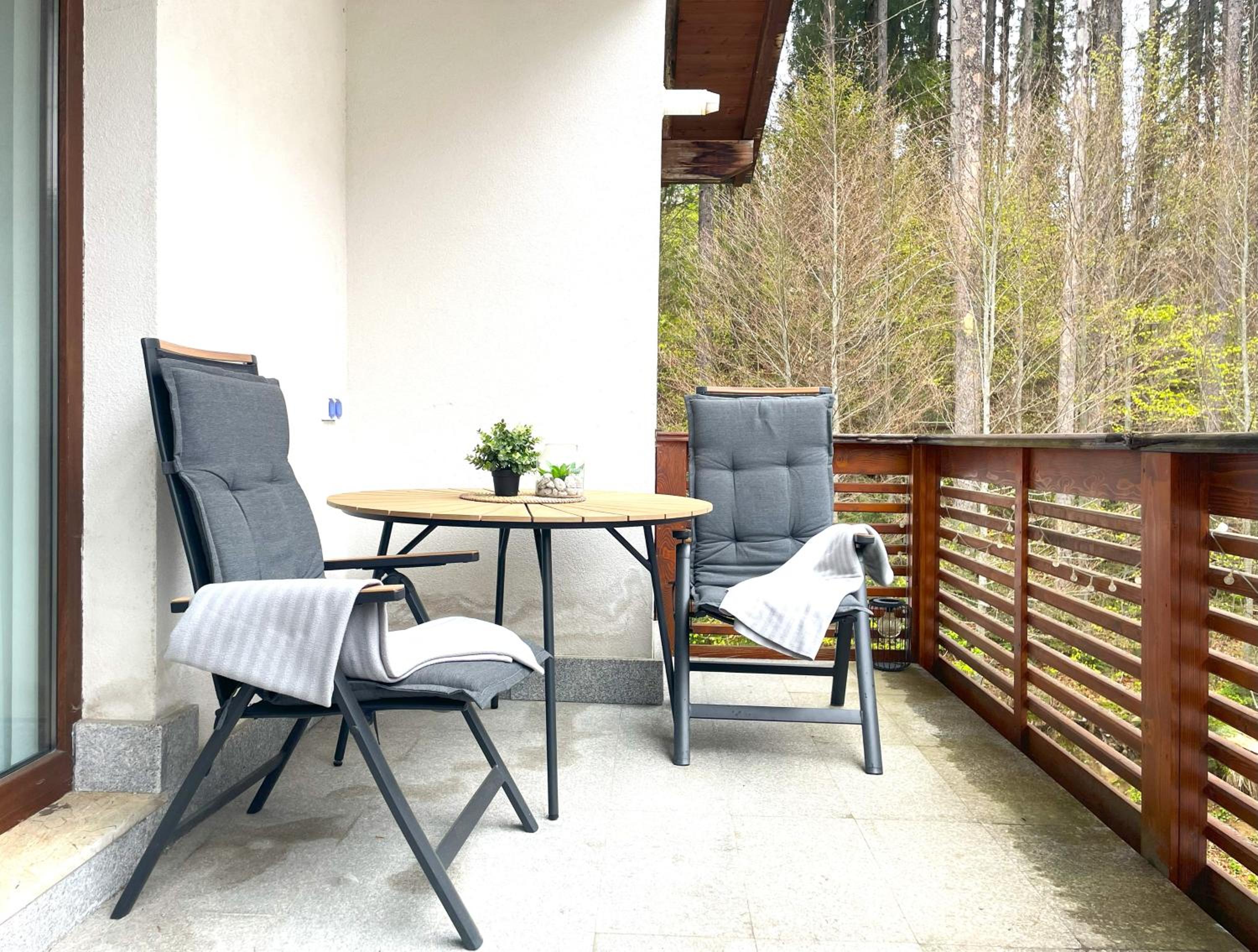 Forest Oasis Studio: free Netflix and Disney+ view 3