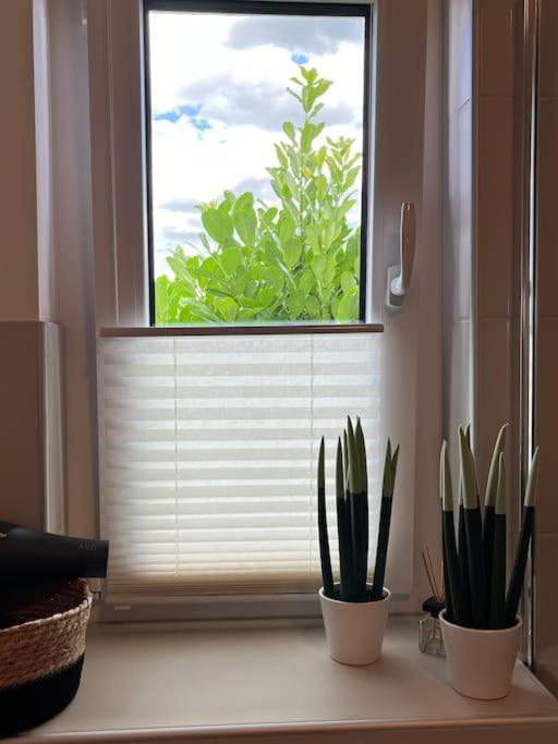 Appartement Büchensaal mit Stellplatz