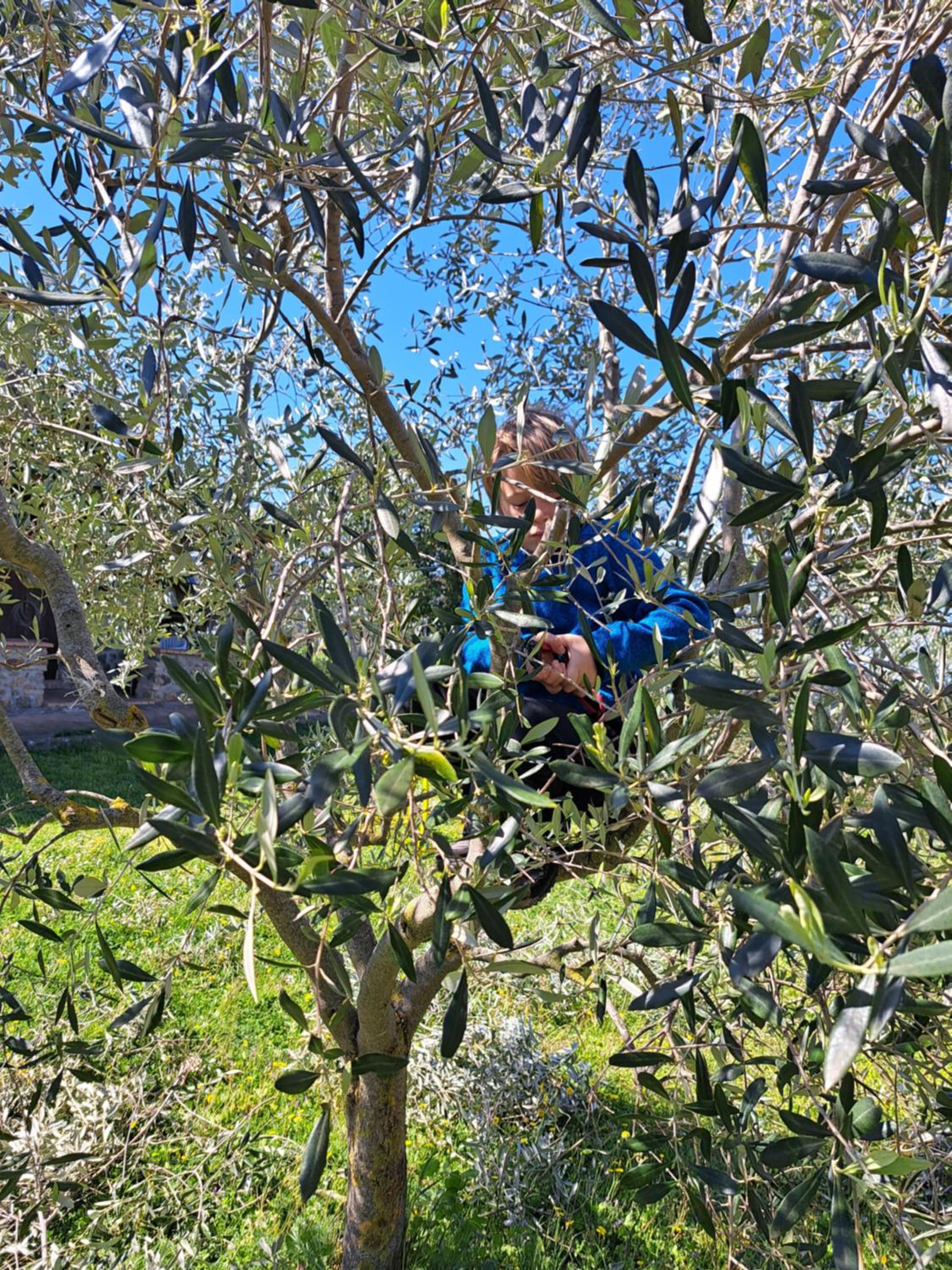 Agriturismo TerraMadre