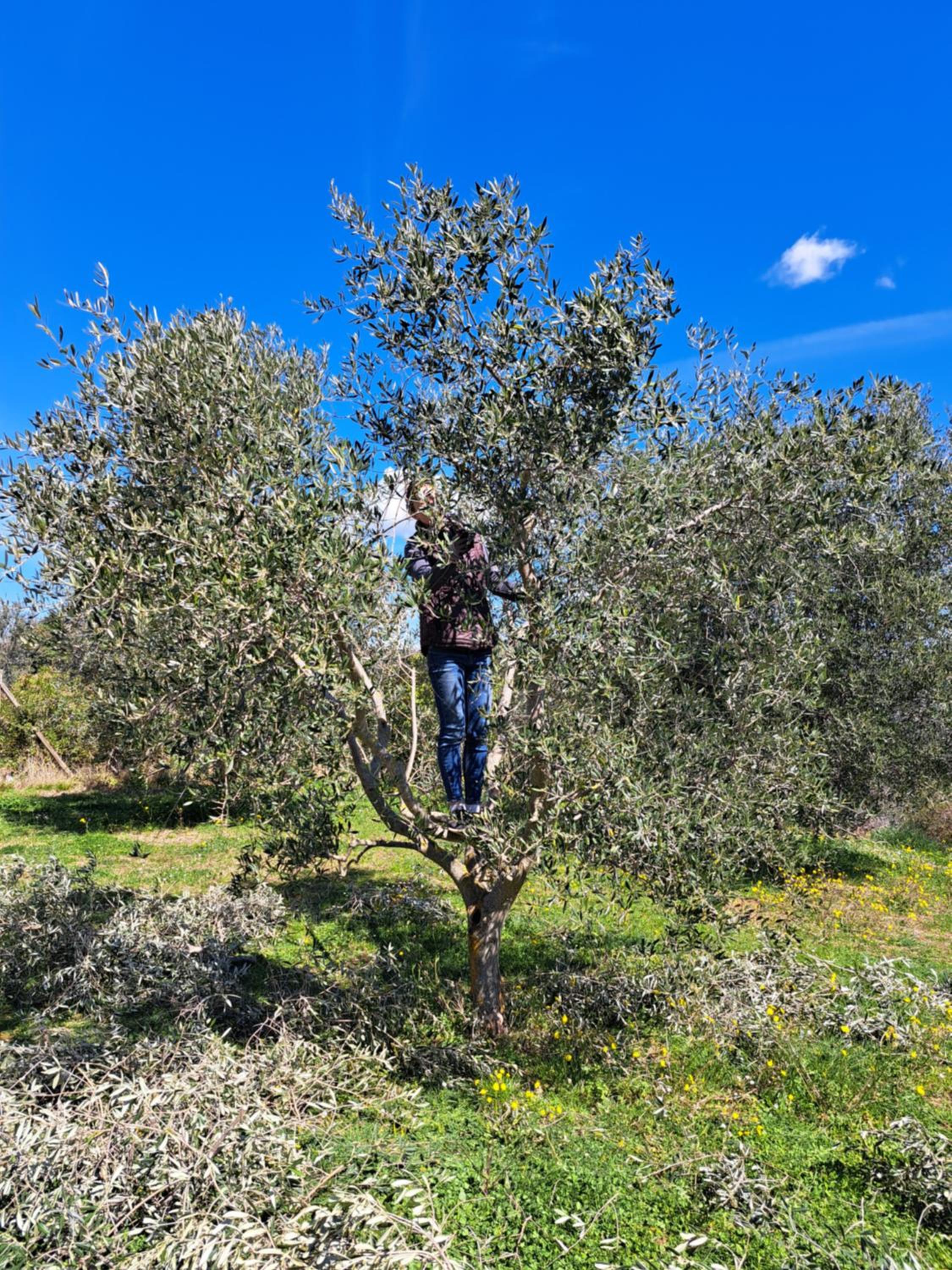 Agriturismo TerraMadre