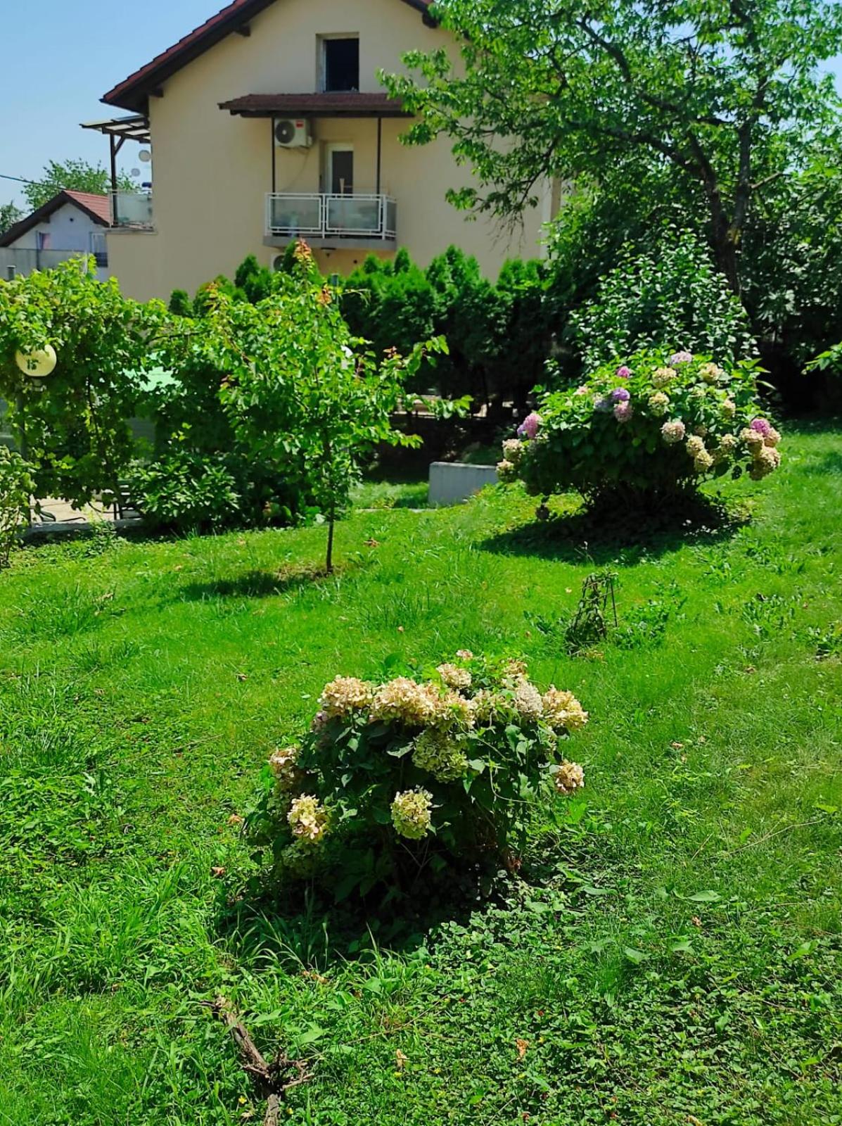 Apartman ZAGREB,REBRO,MAKSIMIR,CENTAR Marko