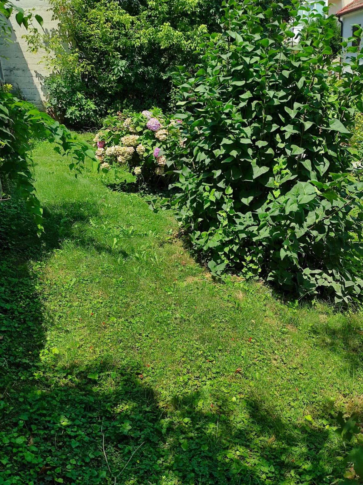 Apartman ZAGREB,REBRO,MAKSIMIR,CENTAR Marko
