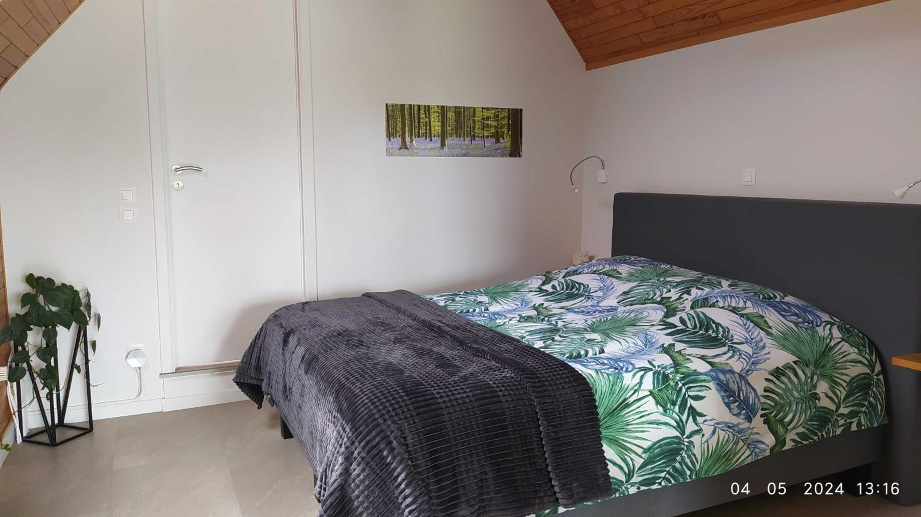 B&B Plattestien