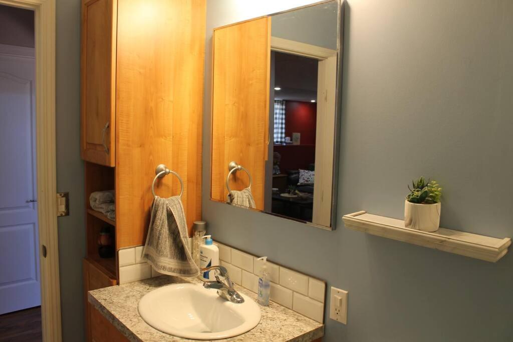 Cozy Lodge Suite