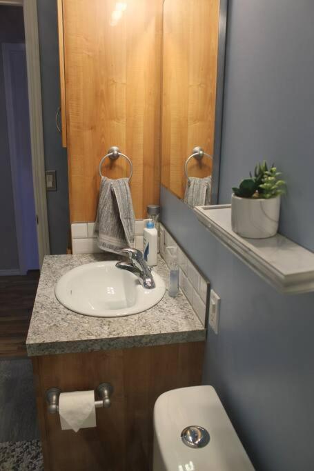 Cozy Lodge Suite