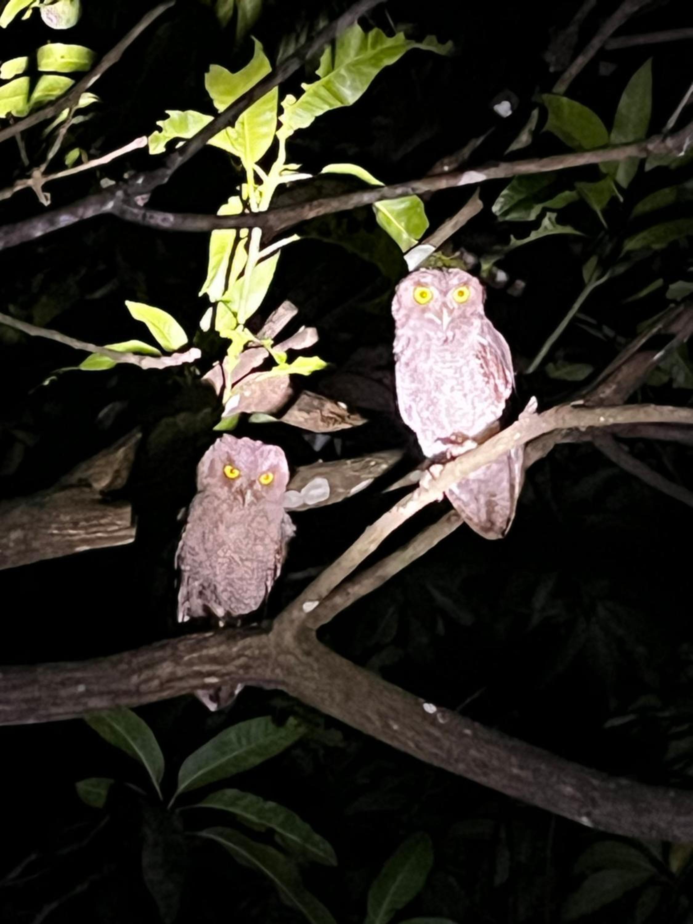 Casa Colibrí