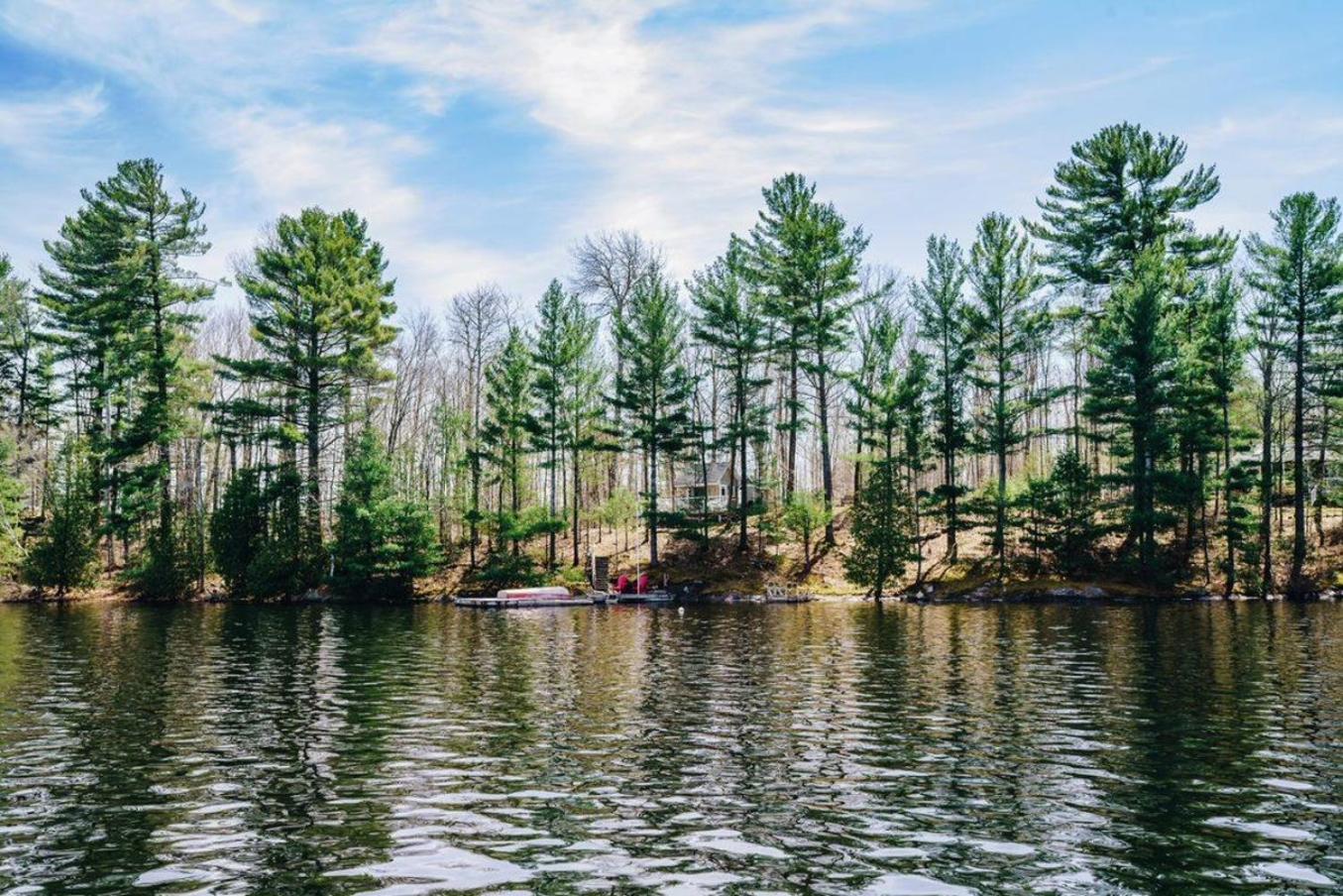 Lakeside Cottage On Muskoka Shores