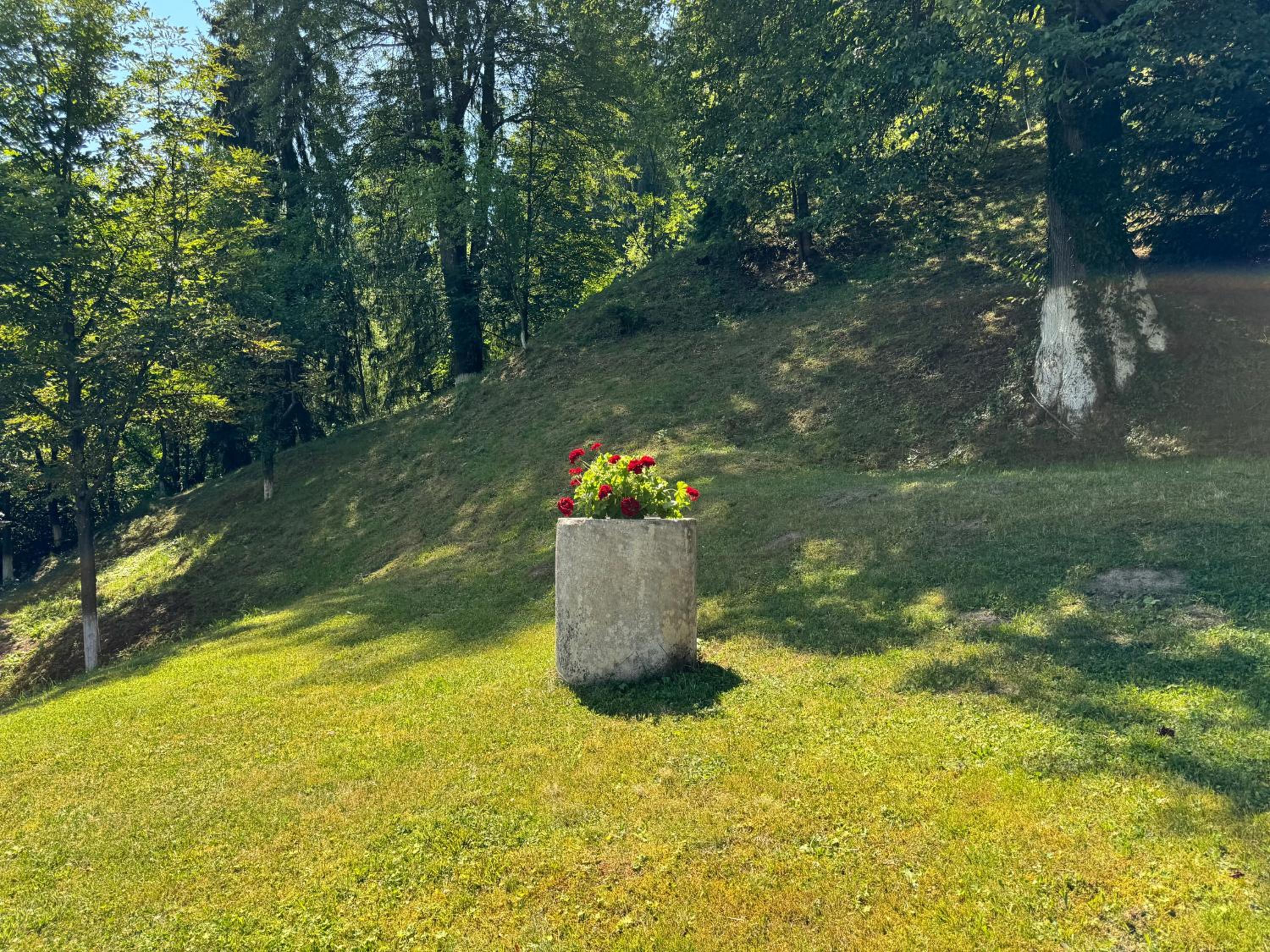 Photo 100