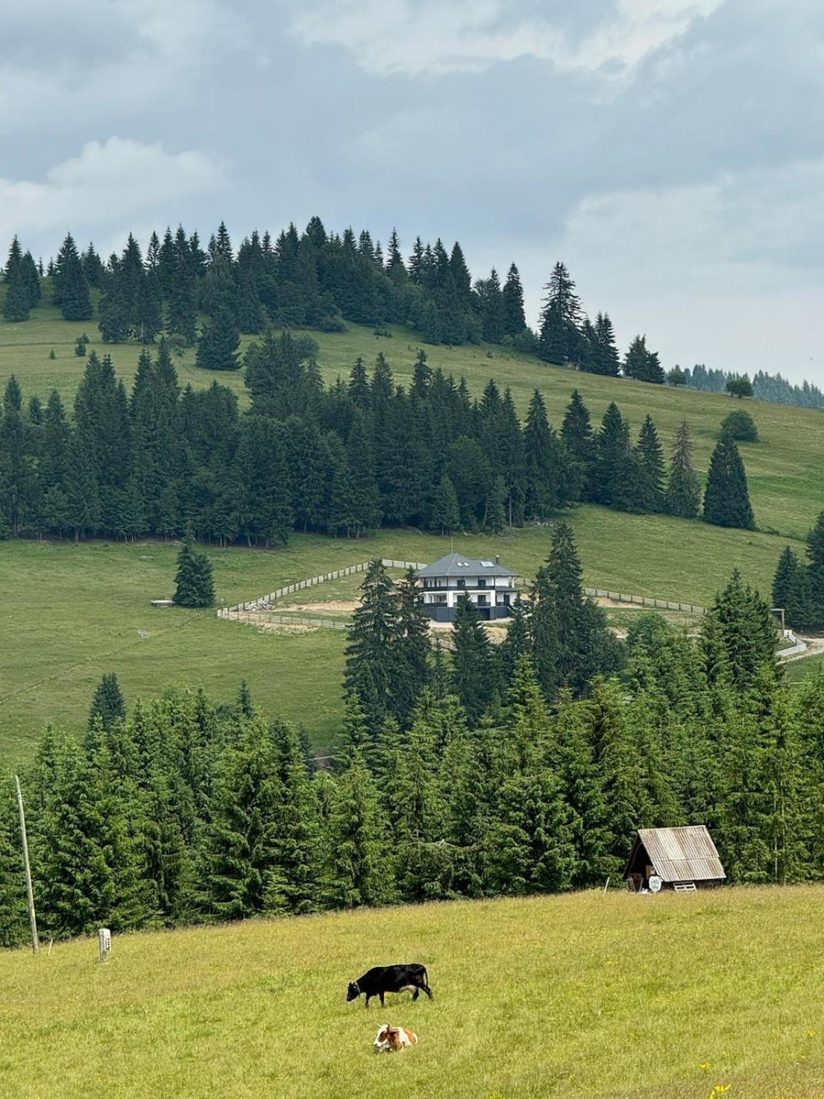 Tihuța Village