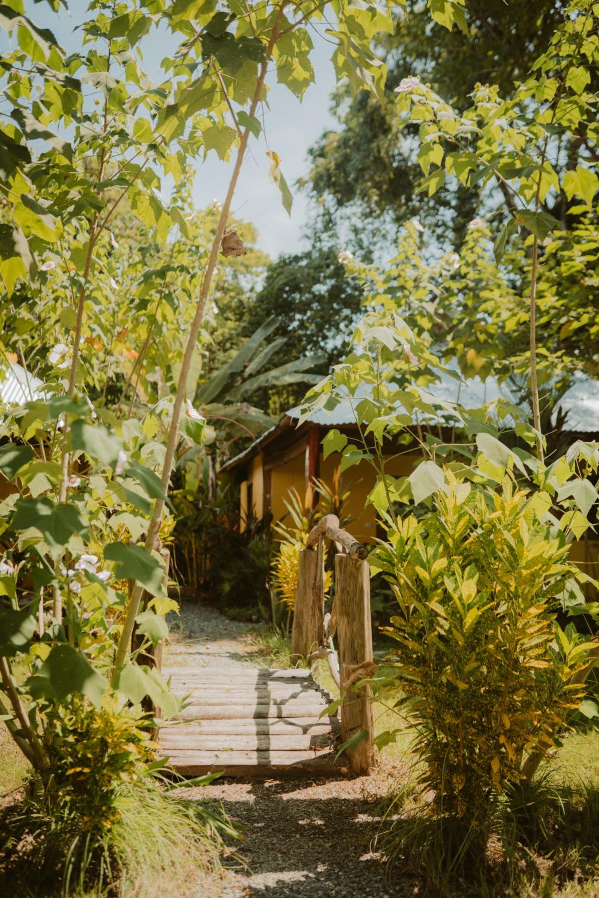 casa de los amigos caribena