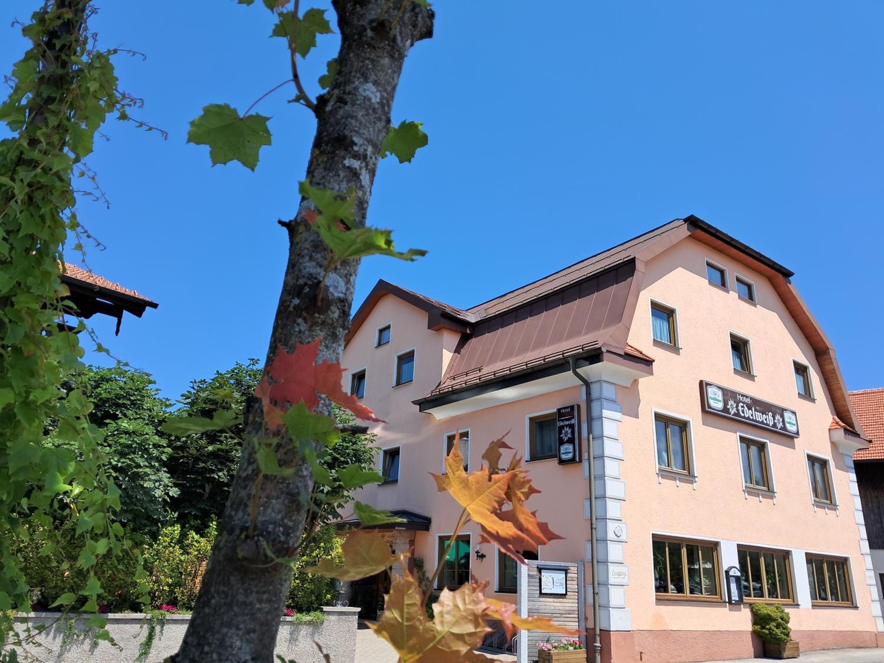 Hotel Garni Edelweiß, photo 25