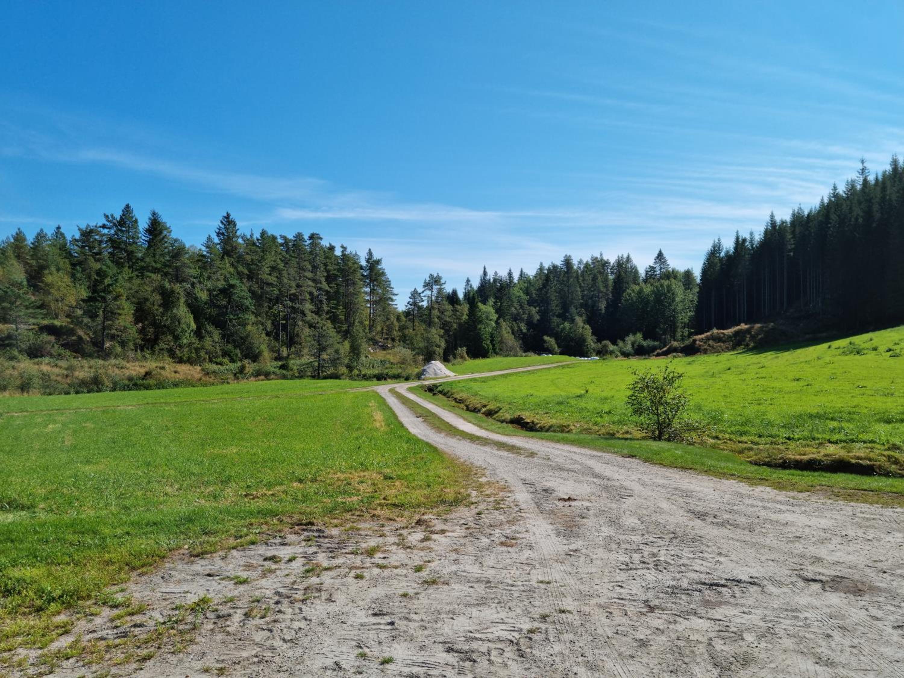 Flott hytte Bjelland Lindesnes