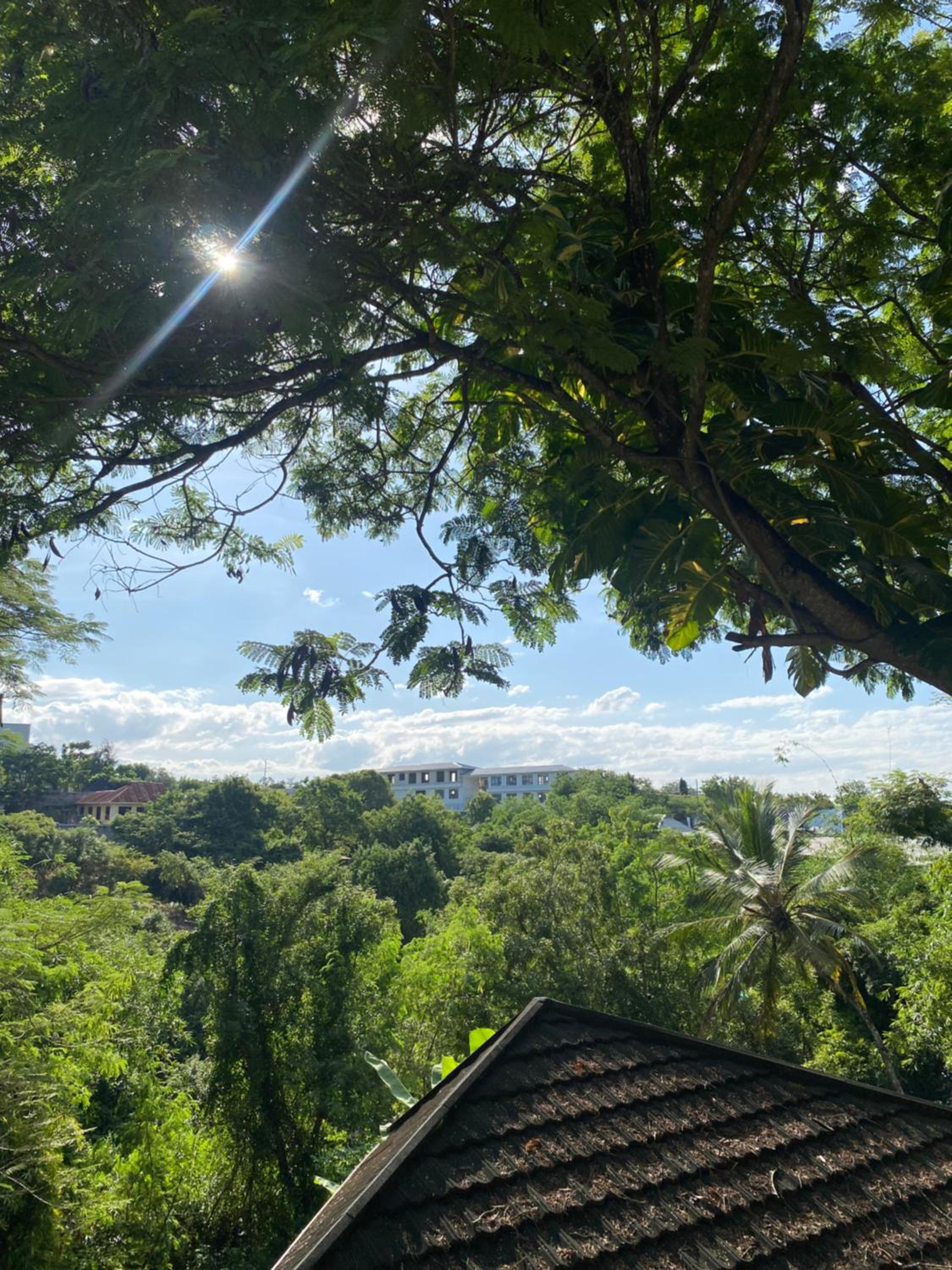 The Green Valley Home view 4