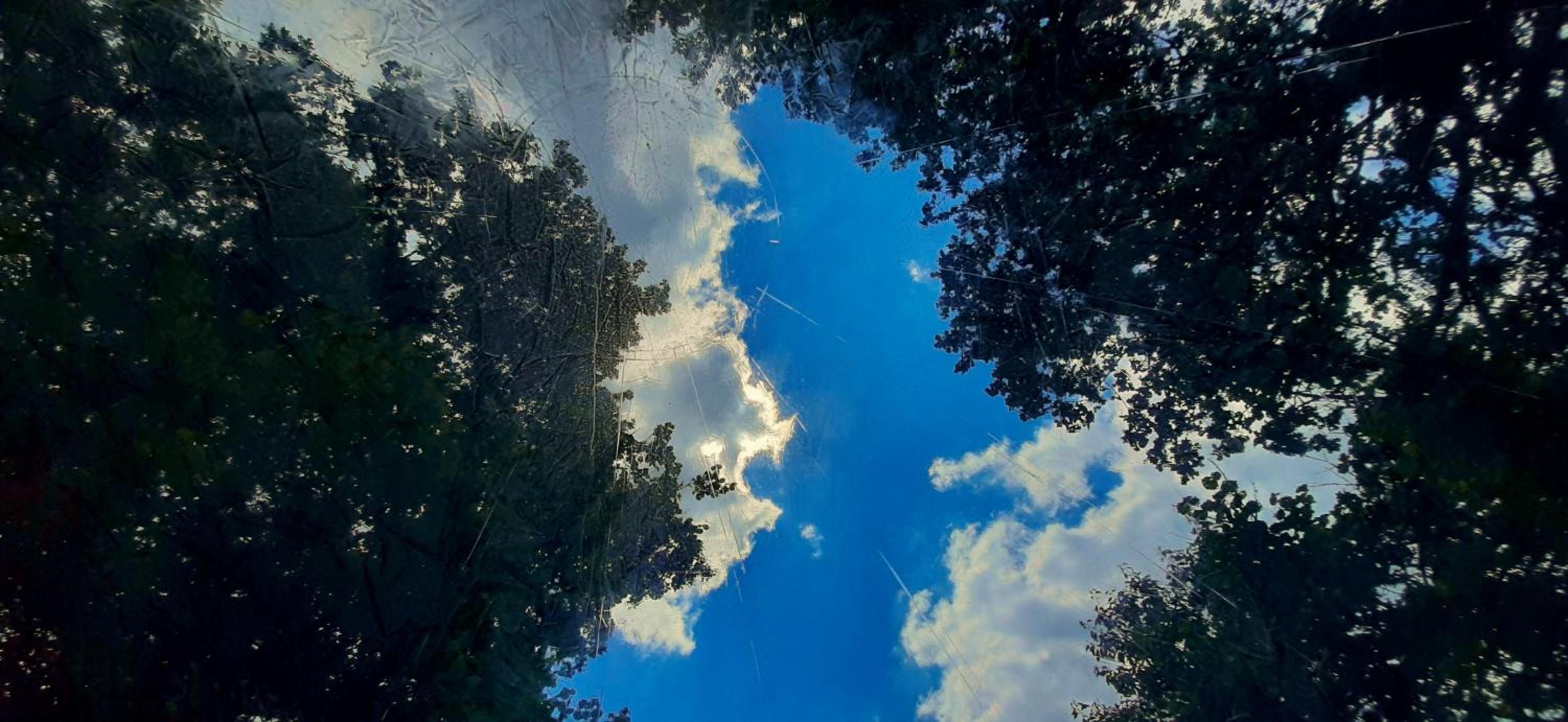 La Bulle d'Haut