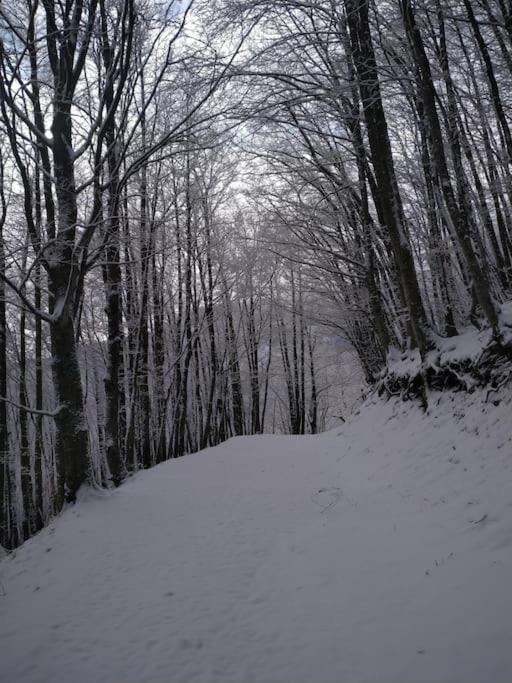 other