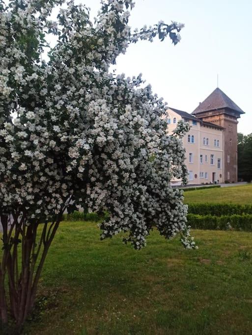 Gut Hohenunkel