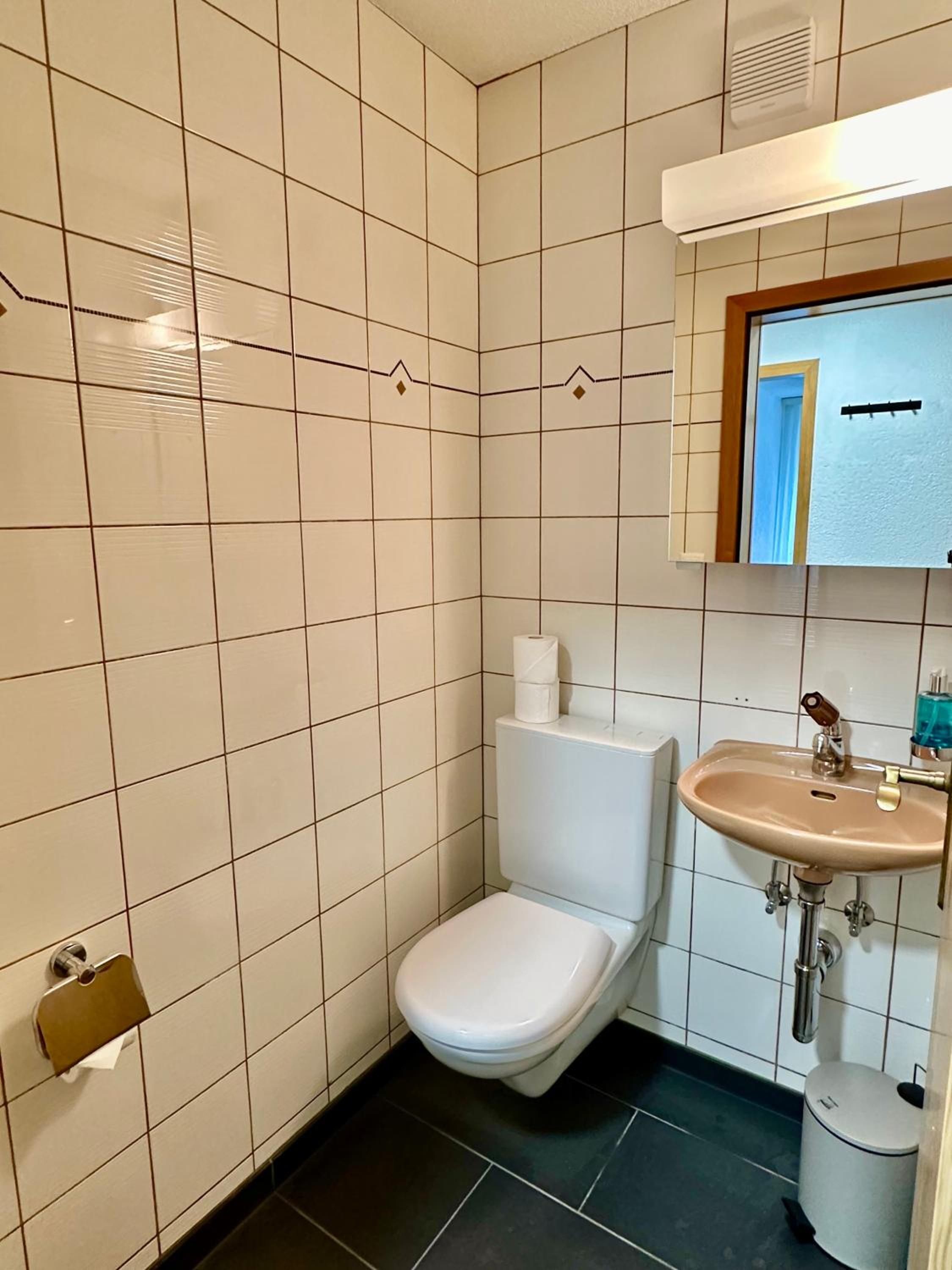 The Bluemlisalp, a private holiday flat with the lake of Thun view