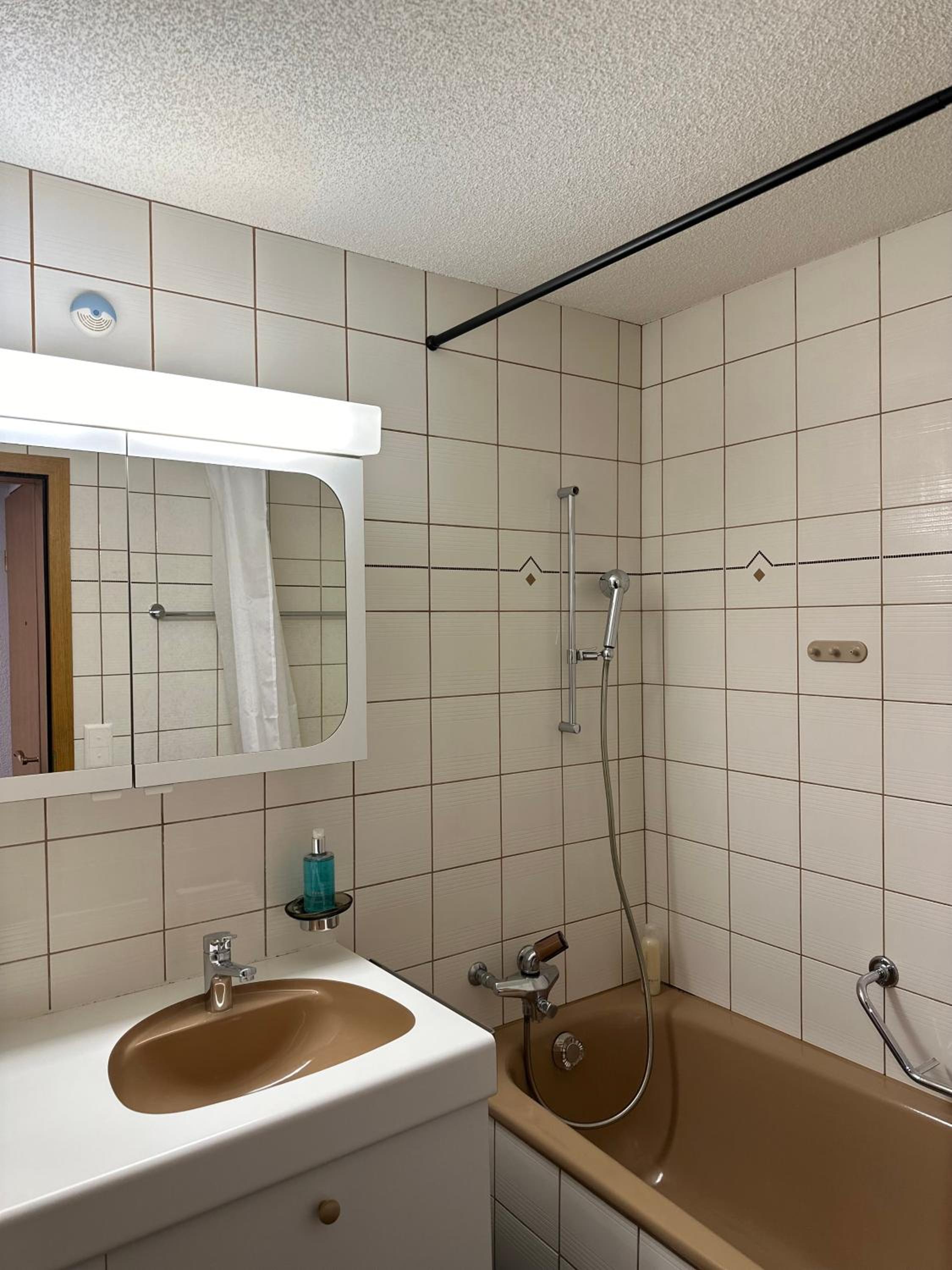 The Bluemlisalp, a private holiday flat with the lake of Thun view